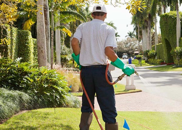 About Bradford ME Pest Control Pros